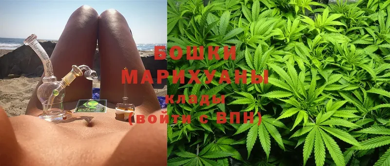 Бошки марихуана OG Kush  mega рабочий сайт  Камышин 